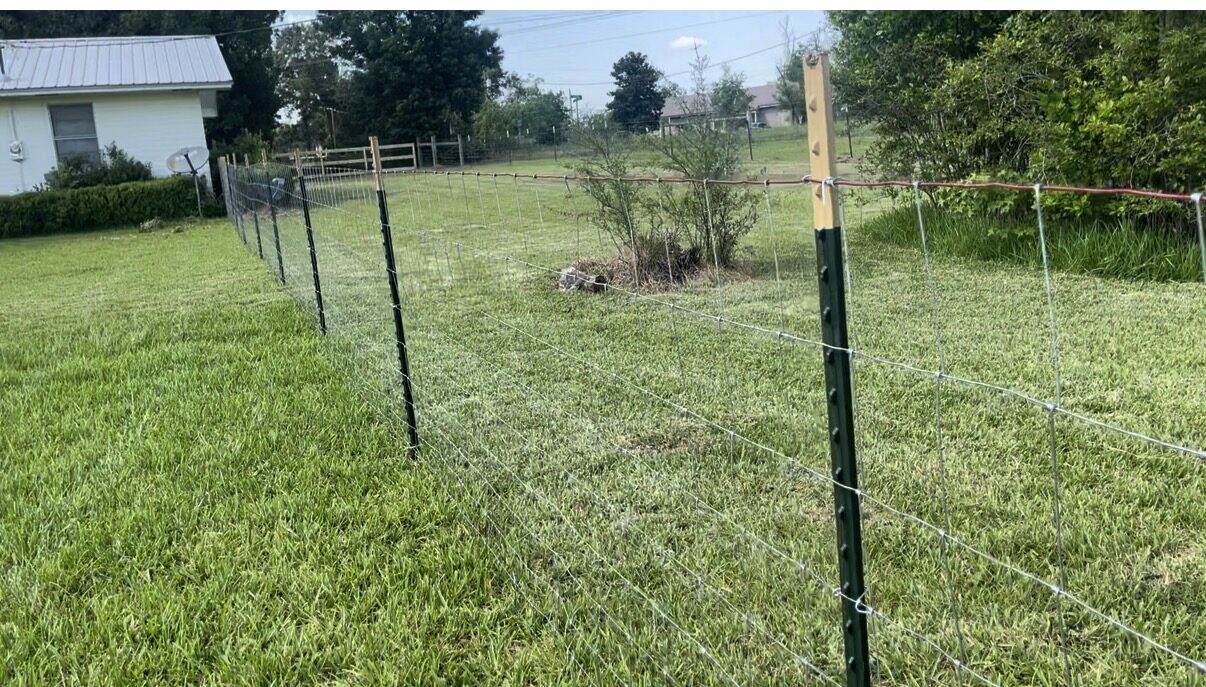 Field fence with metal T-posts